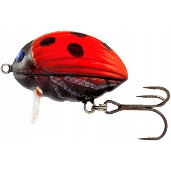 BG3 LADYBIRD