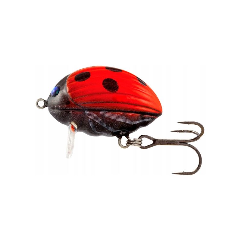 BG3 LADYBIRD BG3 LADYBIRD