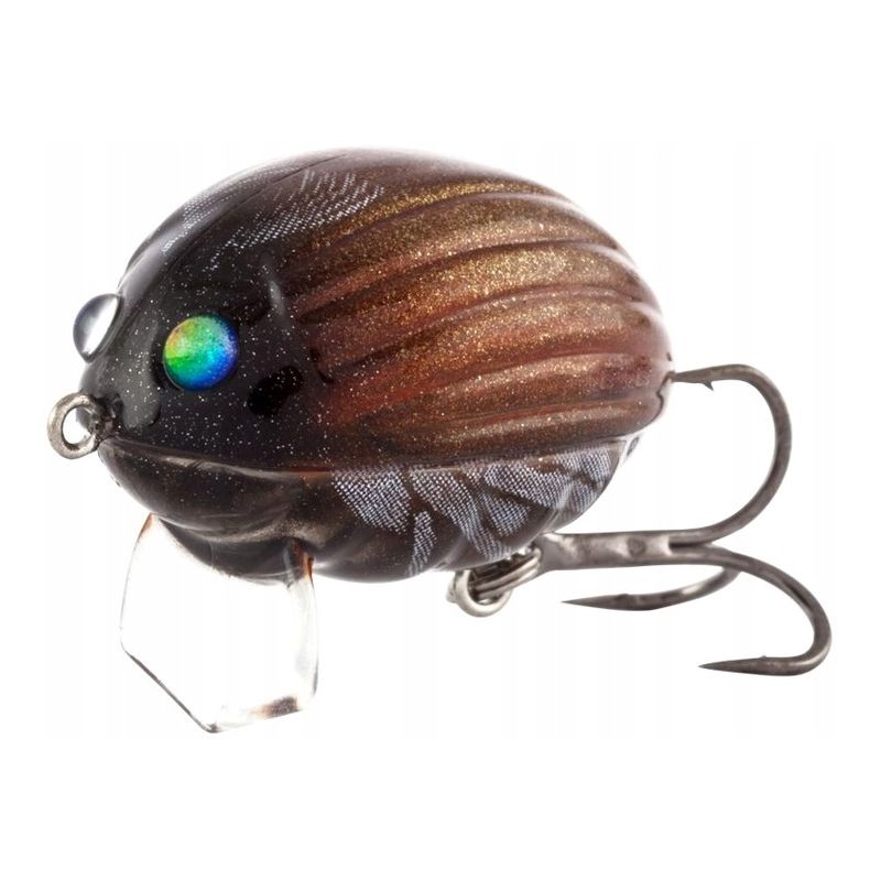 BG2 MAY BUG BG2 MAY BUG