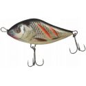 SD12SWOUNDEDREAL GREY SHINER