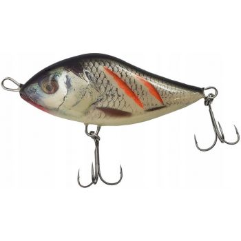 SD12SWOUNDEDREAL GREY SHINER