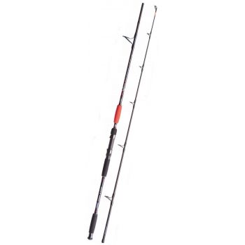 WĘDKA SUMOWA JAXON CATFISH SPIN TROLL 2,40m 160g