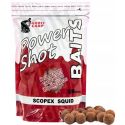 KULKI BANDIT CARP POWER SHOT 1KG SCOPEX SQUID