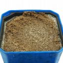PELLET OSMO DISC KILLER 800g METHOD FEEDER