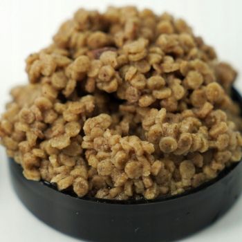 PELLET OSMO DISC KILLER 800g METHOD FEEDER
