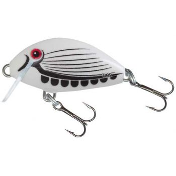 IT3S WHITE BAIT