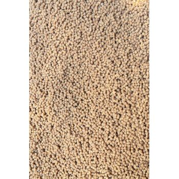 PELLET FEEDER BAIT GOTOWY 2mm WIADRO ORZECH TYGRYS