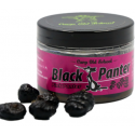 ORZECH TYGRYSI CARP OLD SCHOOL BLACK PANTER HACZYK