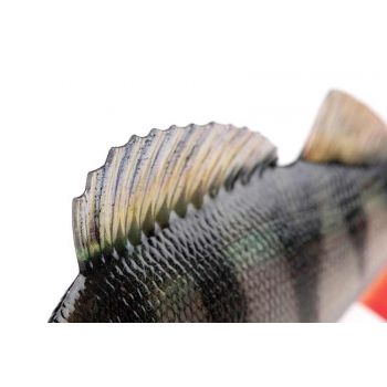 GUMA FOX RAGE 10cm UZBROJONA ULTRA REALISTIC PERCH
