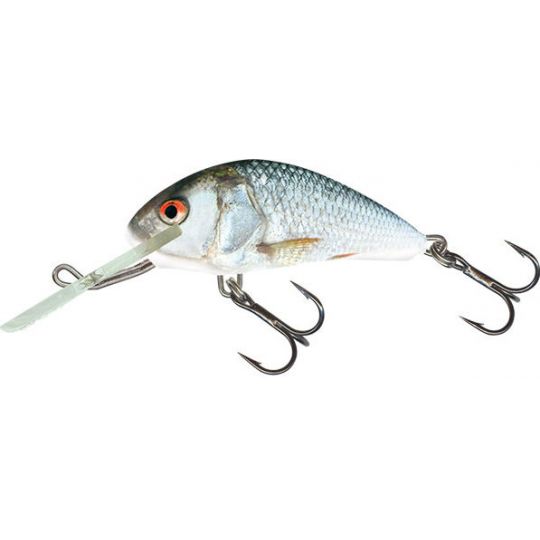 WOBLER SALMO H5S HORNET REAL DACE 5cm TONĄCY WOBLER SALMO H5S HORNET REAL DACE 5cm TONĄCY