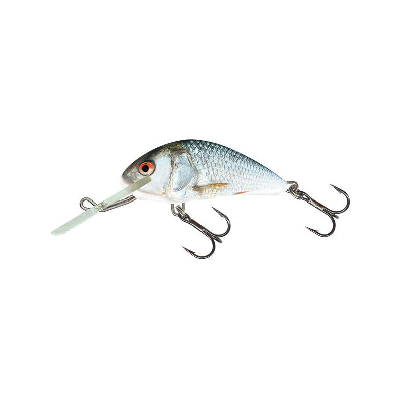 WOBLER SALMO H4S HORNET REAL DACE 4cm TONĄCY WOBLER SALMO H4S HORNET REAL DACE 4cm TONĄCY