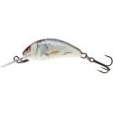 WOBLER SALMO H2S HORNET REAL DACE 2,5cm TONĄCY