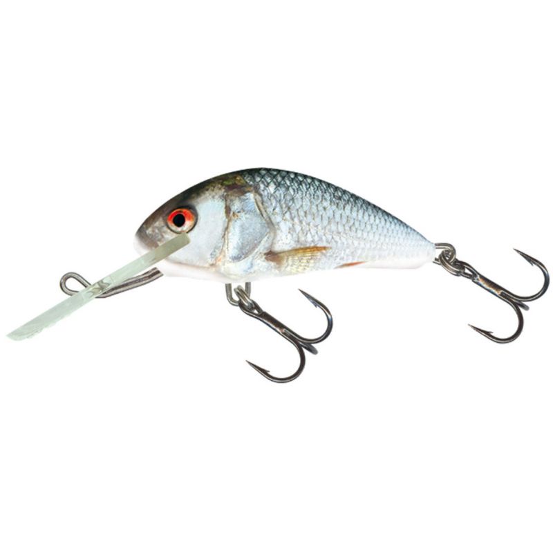 WOBLER SALMO H6F HORNET REAL DACE 6cm PŁYWAJĄCY WOBLER SALMO H6F HORNET REAL DACE 6cm PŁYWAJĄCY