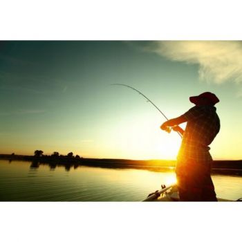 WOBLER SALMO SD10S SLIDER SINKING 10cm 46g WOUNDED