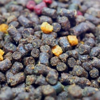 PELLET OSMO PRO PELLET DARK 2mm 1kg