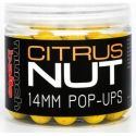 KULKI MUNCH BAITS POP UP CITRUS NUT 14mm