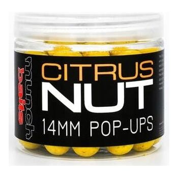 KULKI MUNCH BAITS POP UP CITRUS NUT 14mm