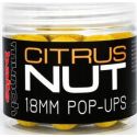 KULKI MUNCH BAITS POP UP CITRUS NUT 18mm