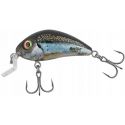 WOBLER SALMO HORNET H4 5SR 4,5cm HOLO SMELT