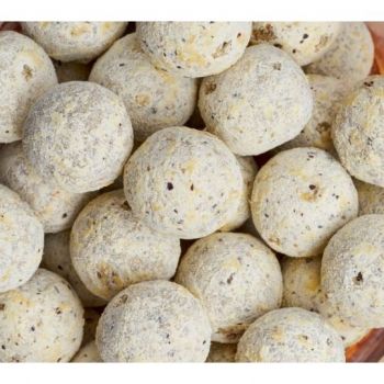 KULKI ZANĘTOWE MEUS FOCUS SKISŁE MASŁO 10kg 18mm