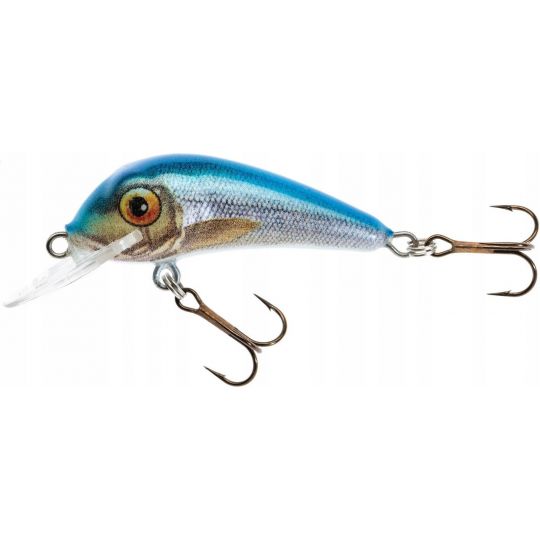 WOBLER JAXON HOLO SELECT SENSO QM 4cm 2,8g F NB WOBLER JAXON HOLO SELECT SENSO QM 4cm 2,8g F NB