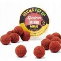 KULKI MEUS SPECTRUM POP UP 12mm MINIS DENGEROUS